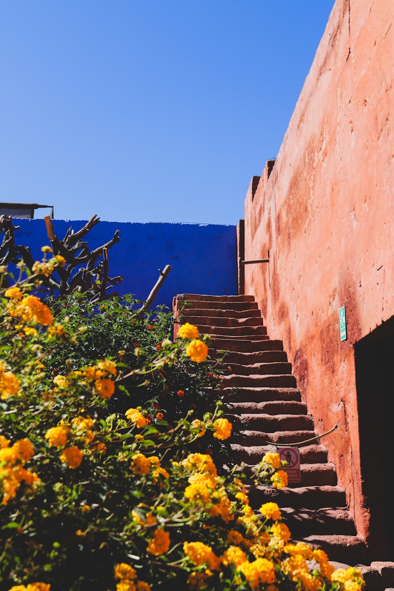 Flores en el Monasterio de Santa Catalina