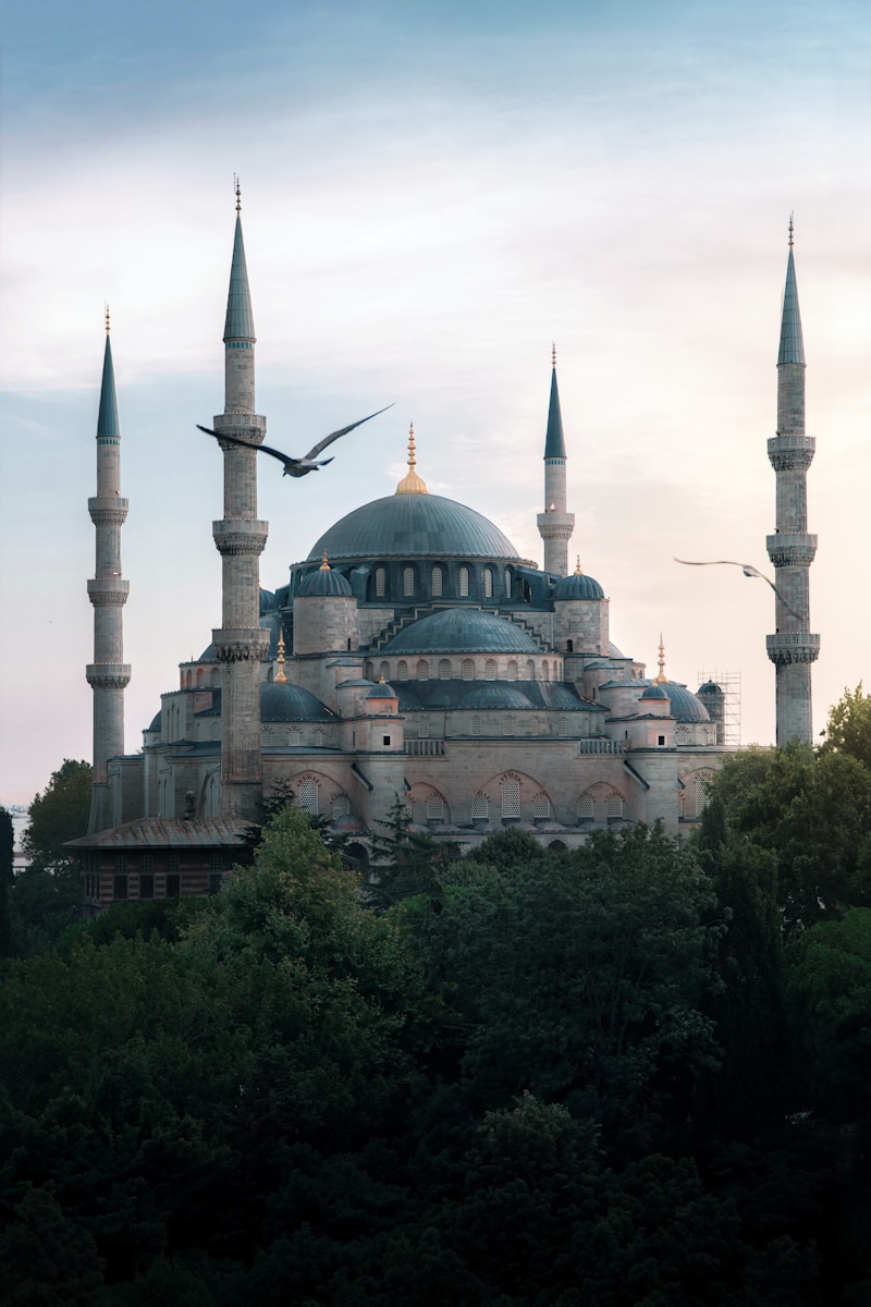 Mosque in Istanbul