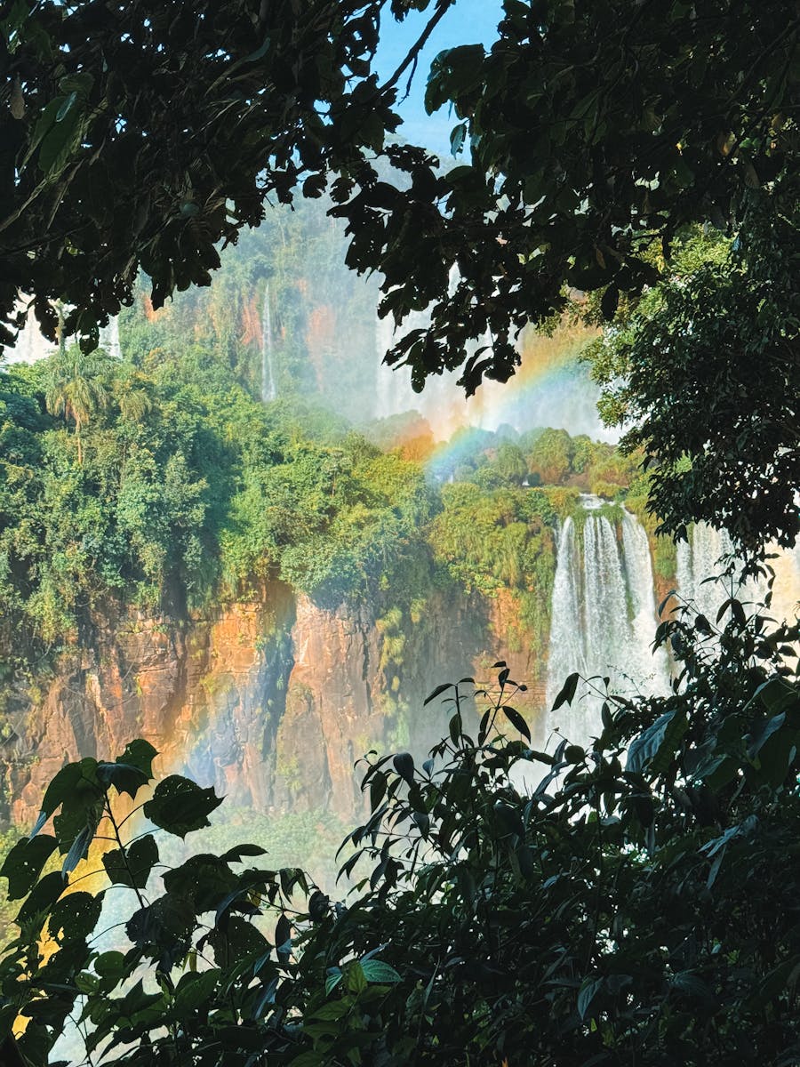 Captivating view of Iguazú Falls with a vibrant rainbow amidst lush greenery in Argentina.