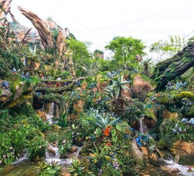 forest illustration wallpaper