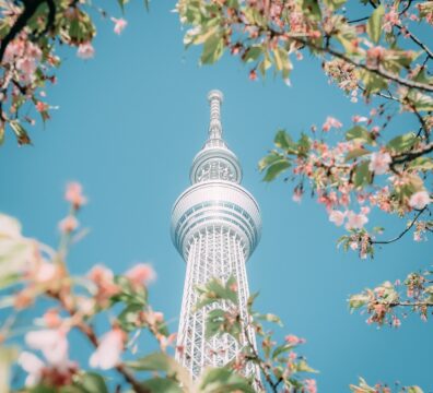 pexels-wenchengphoto-7161190