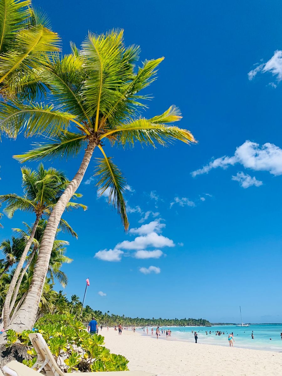 Enjoy a sunny day on a tropical beach in La Romana, Dominican Republic, with palm trees and clear skies.