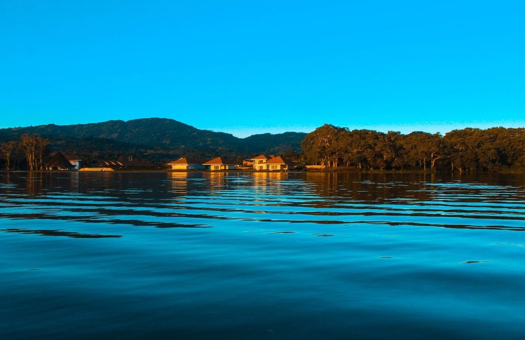 laguna, willow, peru, tarapoto, tarapoto, tarapoto, tarapoto, tarapoto, tarapoto